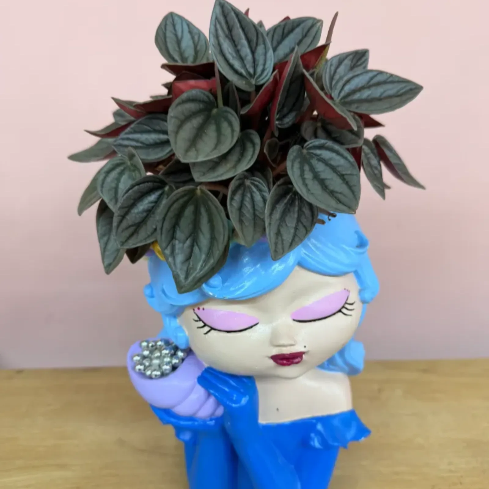 Zümrüt Dalgası (Peperomia)